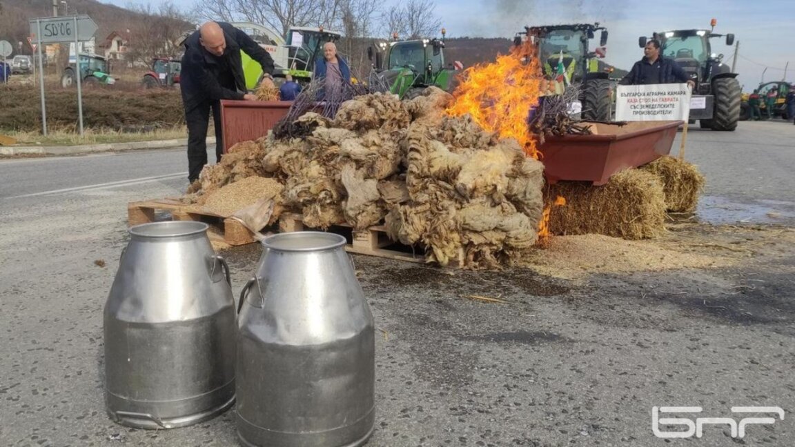 Николай Вълканов: Трябваше да се помисли за преструктуриране на малките стопанства