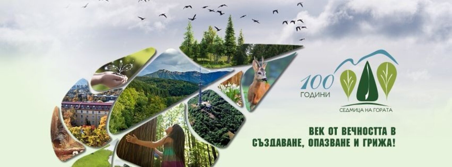 Започва Седмицата на гората, празнуват лесовъдите в България