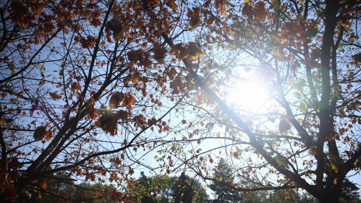 Wetteraussichten für das Wochenende