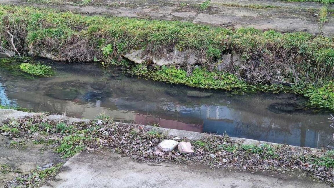 Снимката е илюстративна