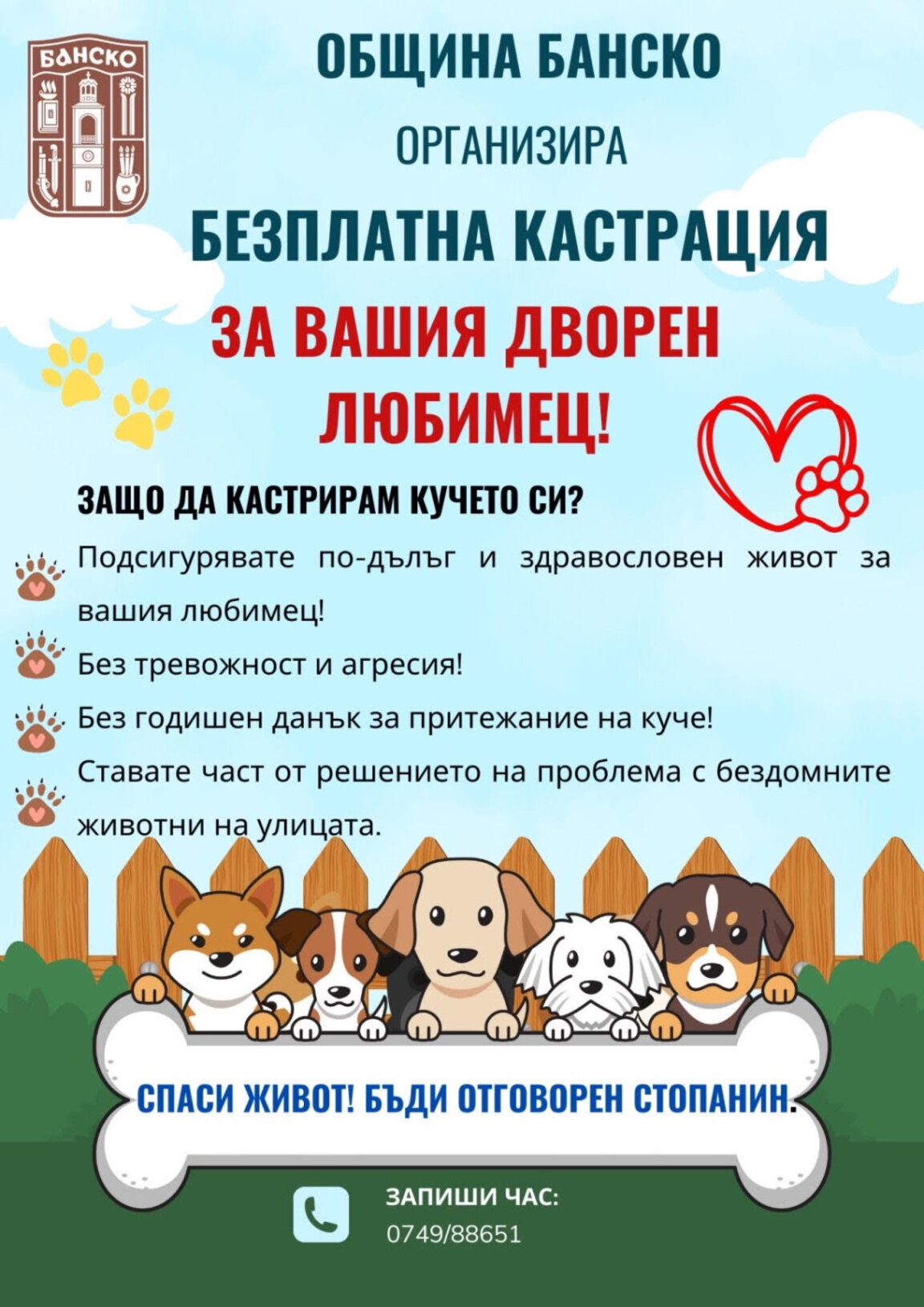 Община Банско отново стартира кампания за безплатна кастрация на дворни домашни любимци