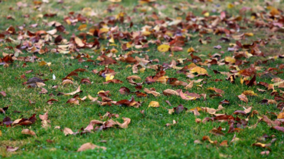 The weather remains mostly unchanged, evening rain expected in Western Bulgaria 