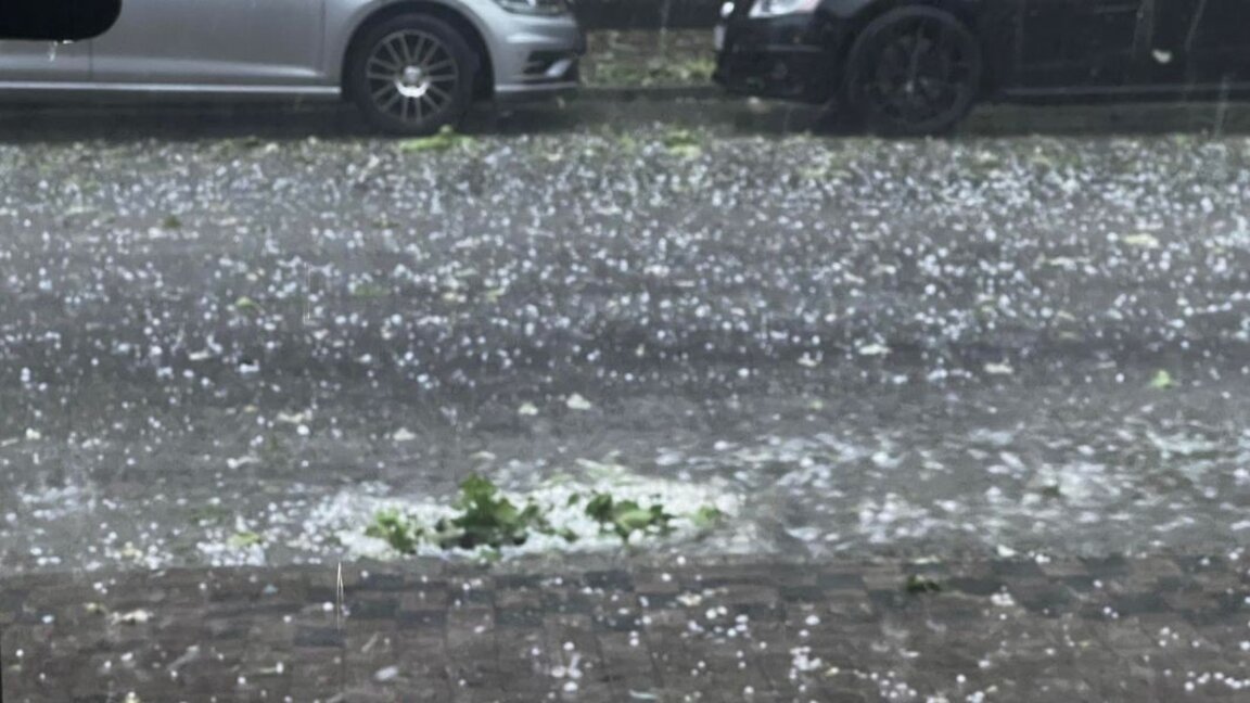 Wetteraussichten für Freitag, den 14. Juni