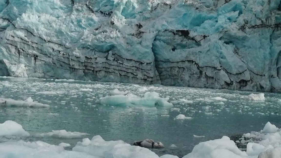 Bulgarian film director develops virtual tour of Antarctic research base