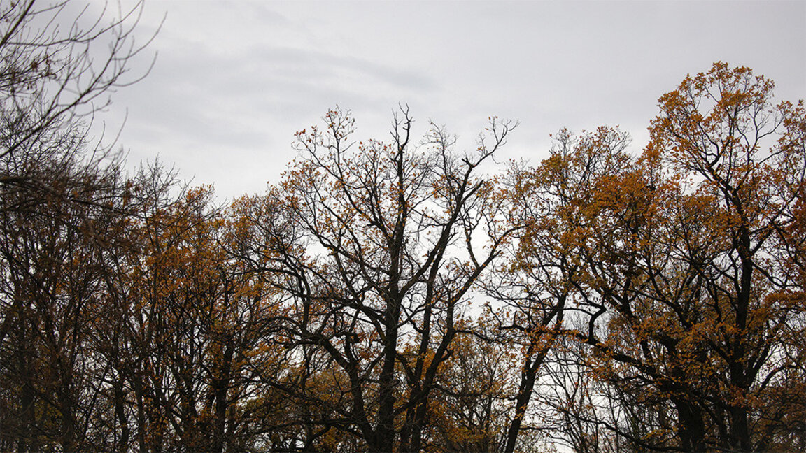 Météo : Une dégradation arrive, portée par des vents violents…