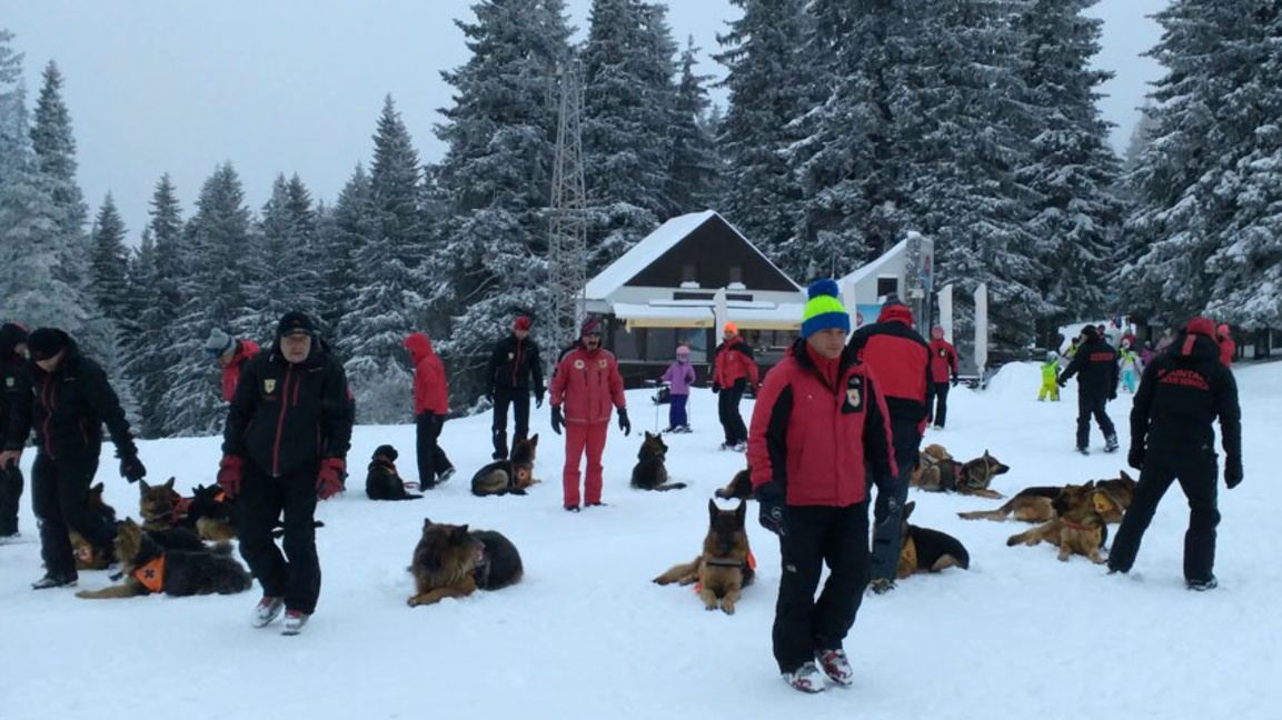 планински спасители; БЧК; кучета спасители; ПСС