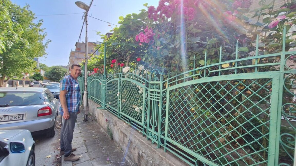 „Улицата на кивито“ – екзотика във варненски двор