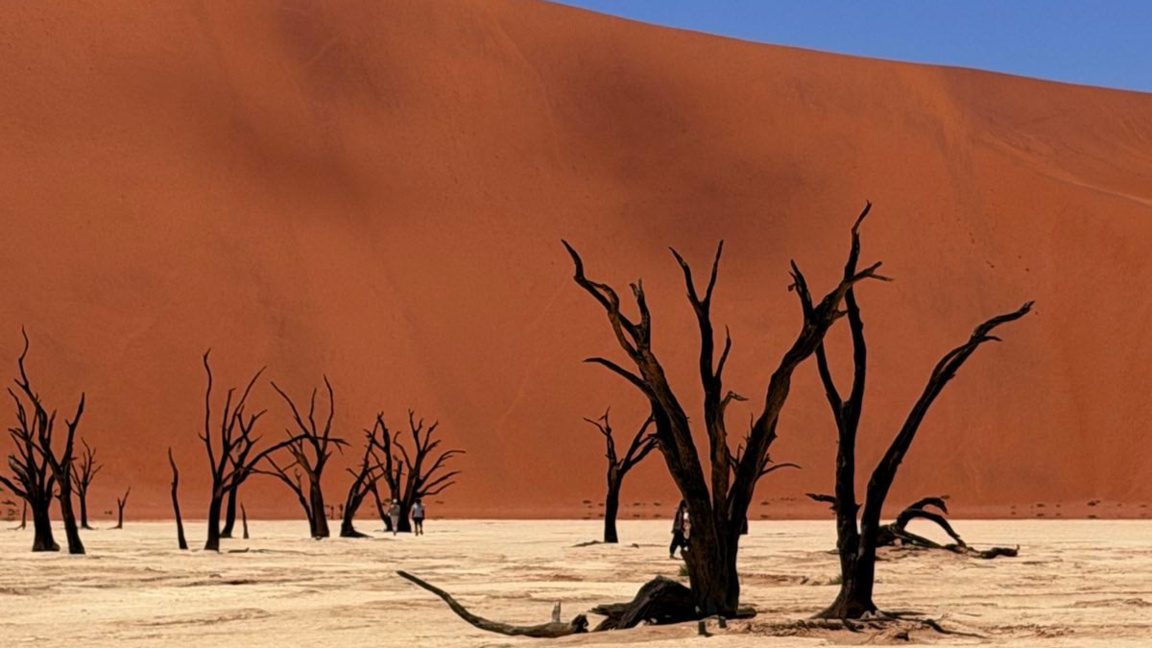 Дивата и неопитомена Намибия