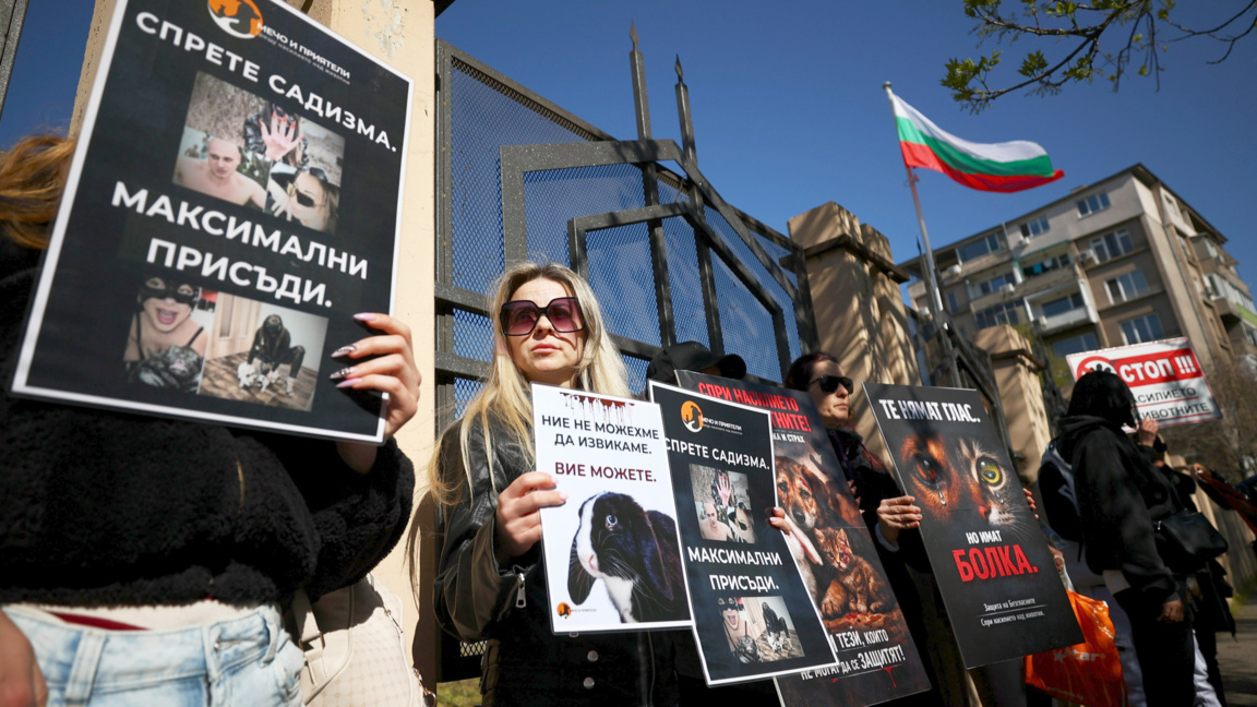 Протести грађана: захтев за строже казне за злостављање животиња