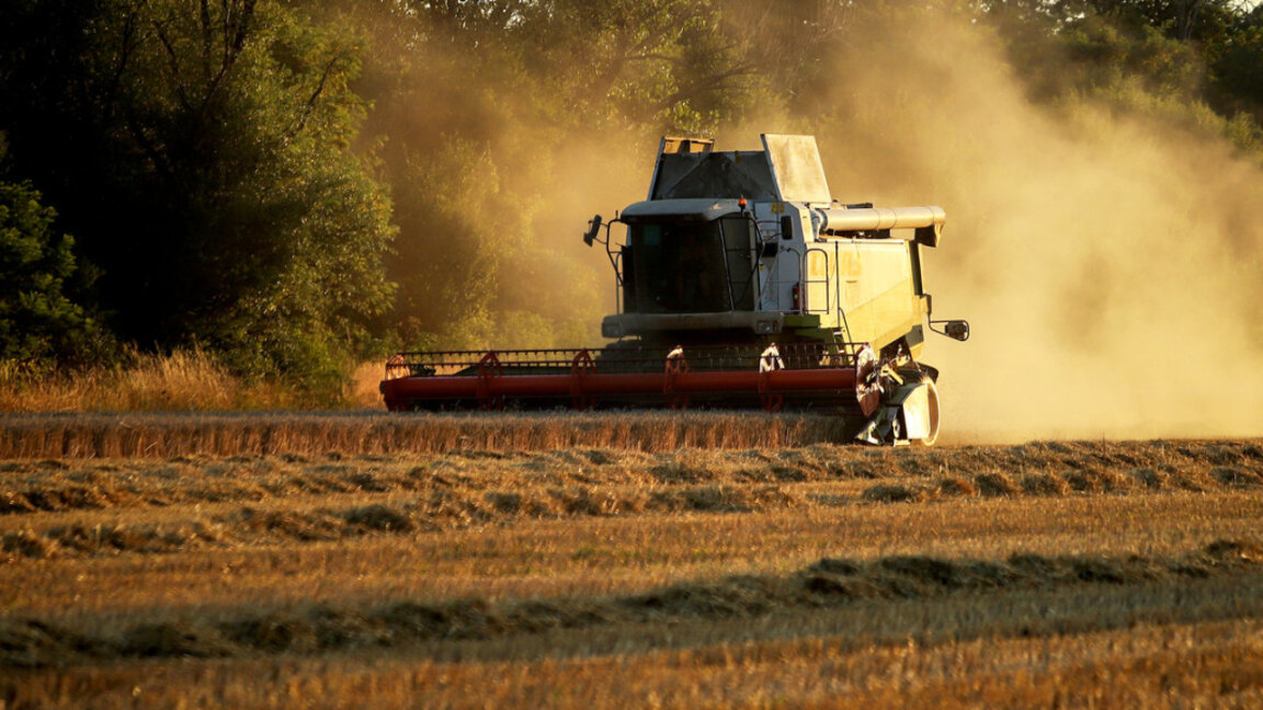 Grain producers plan protest over proposed lifting of ban on the import of Ukrainian grain