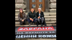 Парламентът единодушно подкрепи на първо четене забраната на фермите за кожи