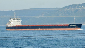 Спасените моряци от атакувания край Крапец кораб са добре 