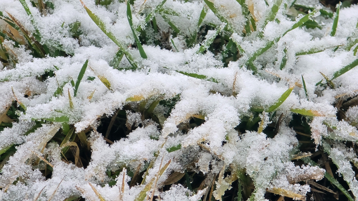 Wetteraussichten für Freitag, den 9. Januar
