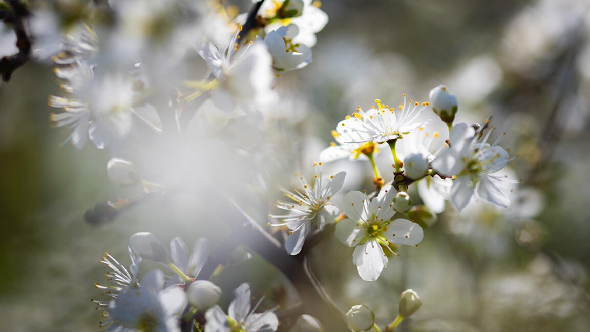 Wetteraussichten für Mittwoch, den 16. April