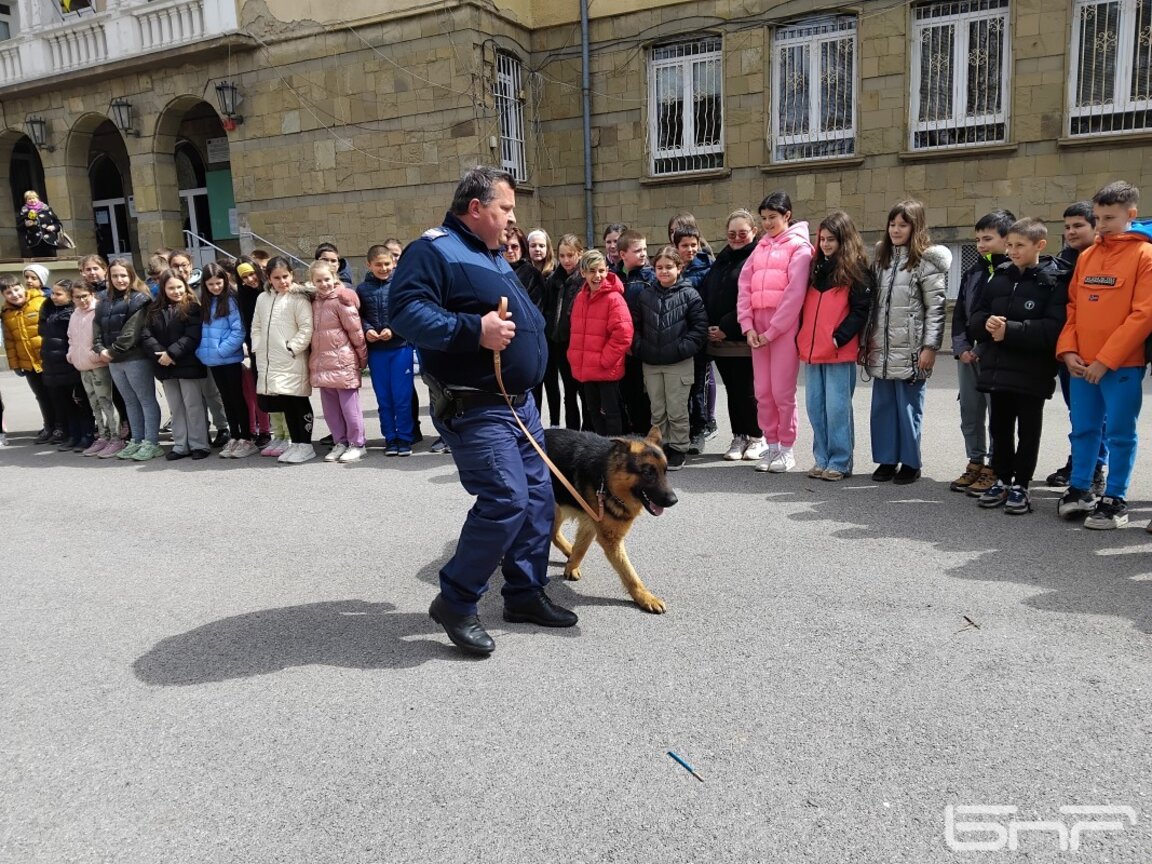 Ученици от Перник видяха как полицейско куче залавя престъпник