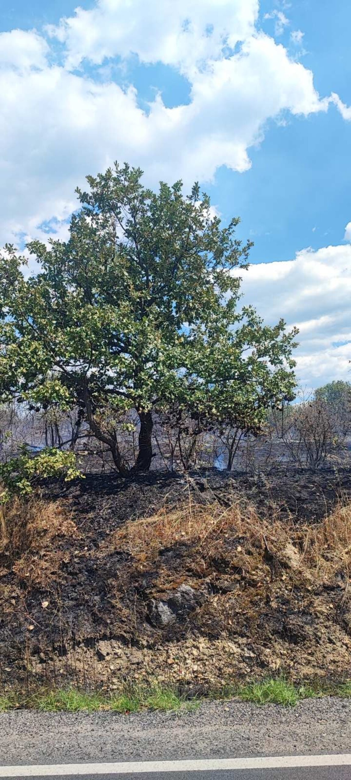 Пожар затвори пътя Баня - Васил Левски - Ведраре
