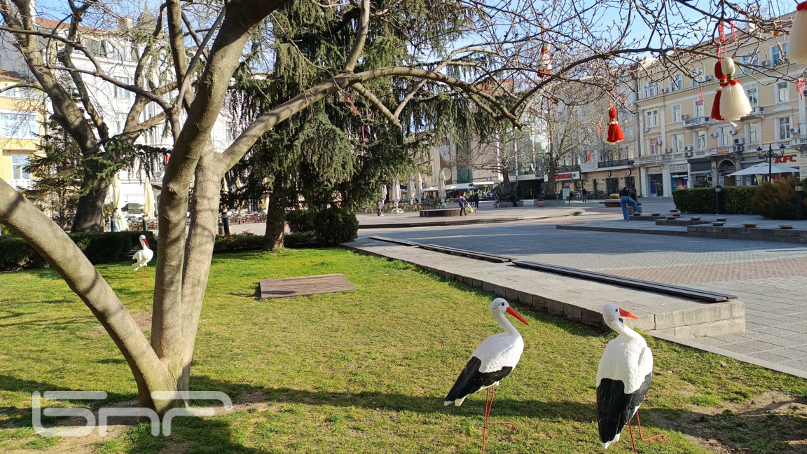 България пред нови избори: Ще излязат ли пловдивчани масово да гласуват?