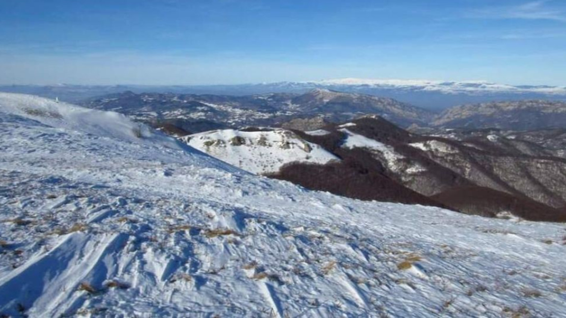 „Посоките на деня“ с Биляна Славчева...