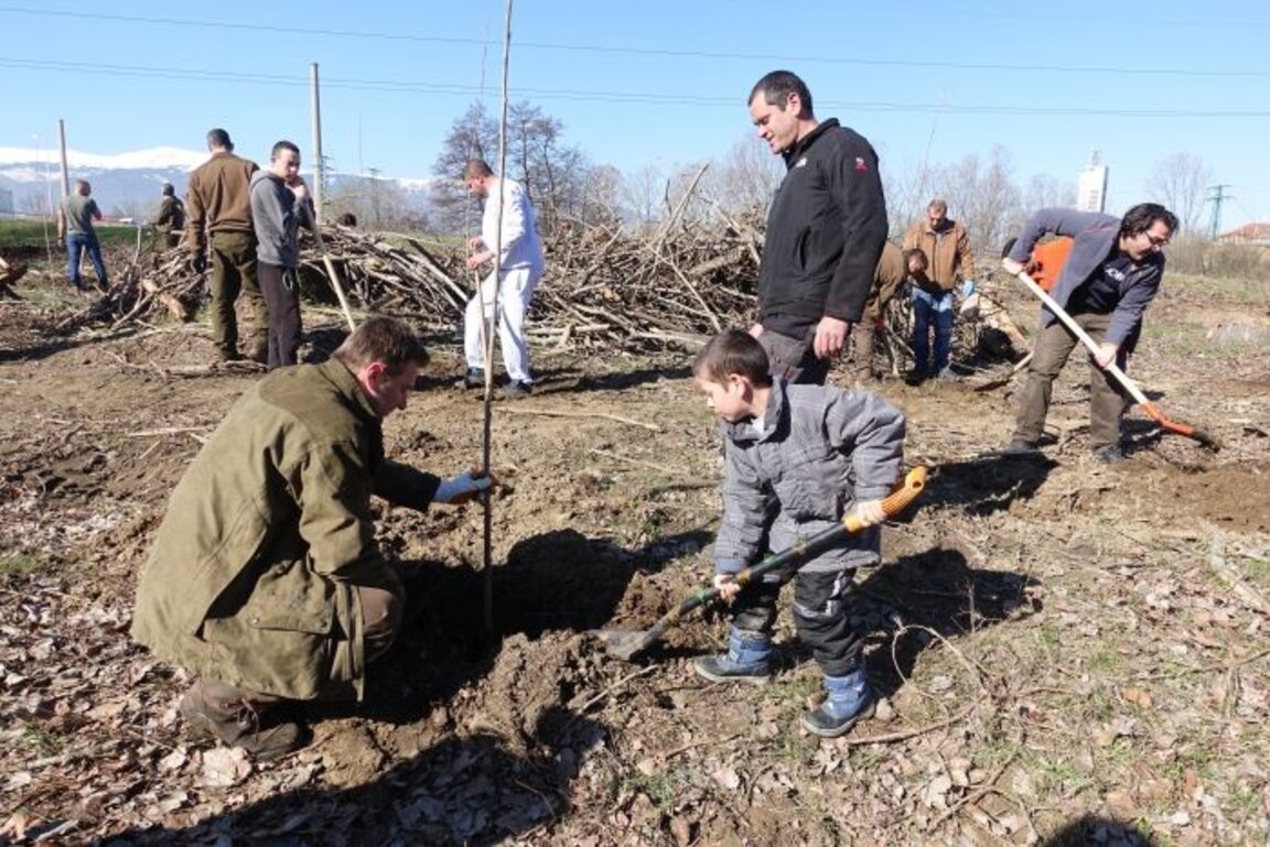 Екоакция за нова гора