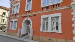 Осъдиха Анита Вачкова и Детелин Аврамов за жестокост към животни