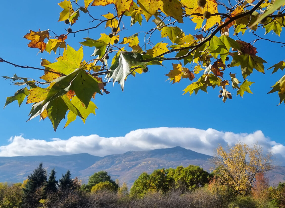 ПСС: Много добри условия за туризъм днес