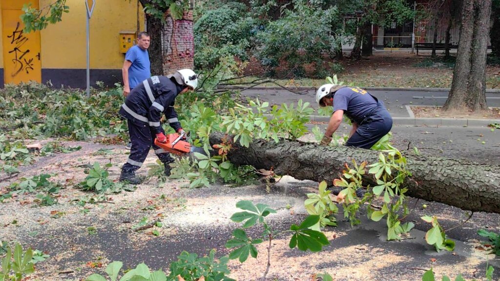Шквал спря тролеите в Русе