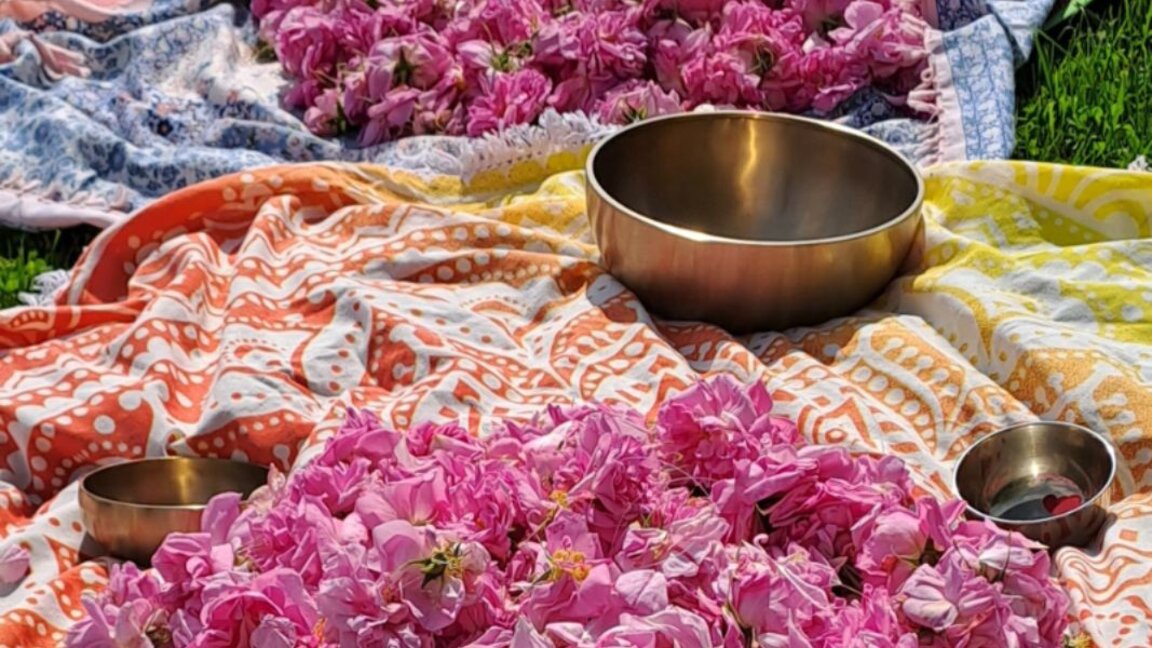 Bulgarian embassy in Ireland will present the Bulgarian rose in the heart of Dublin