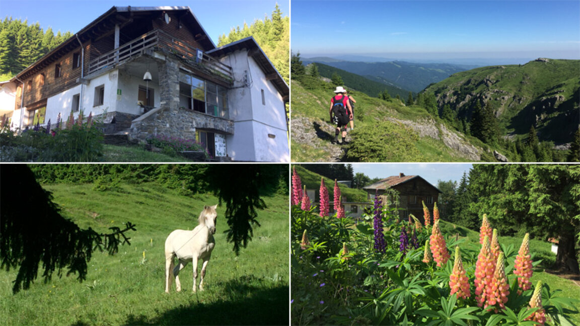 Кампания обръща поглед към богатството сред природата - хижите