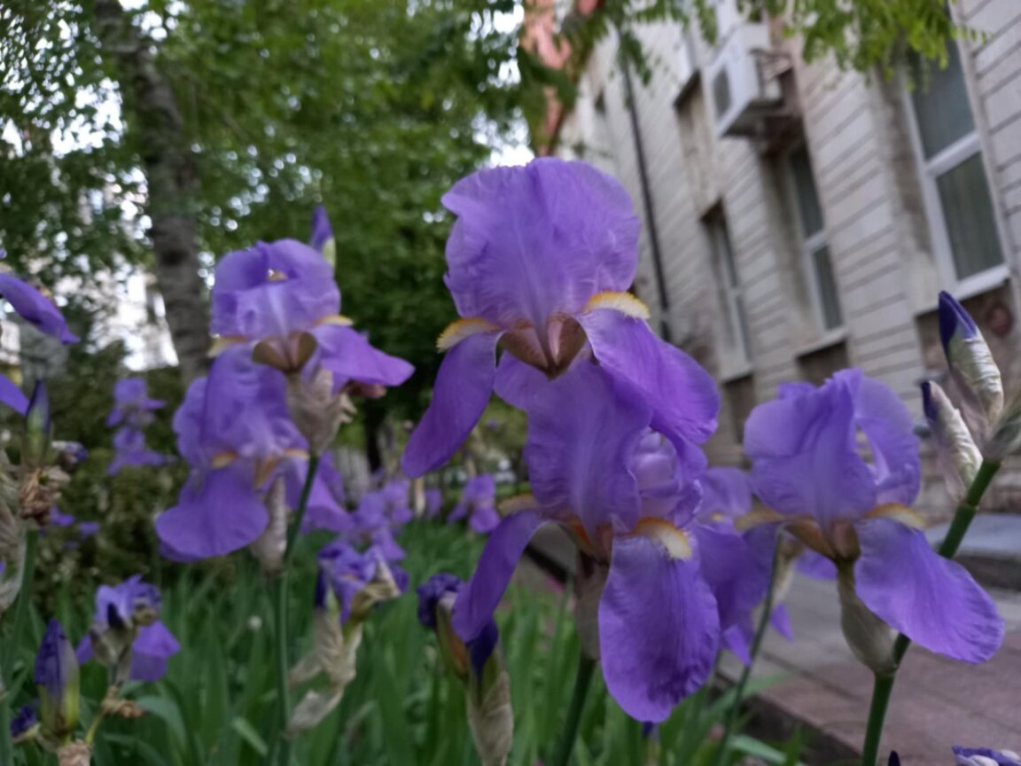 Времето днес