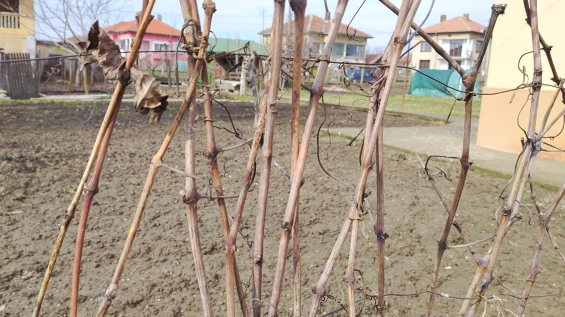 "Неделник" от 15 февруари 2026 година...