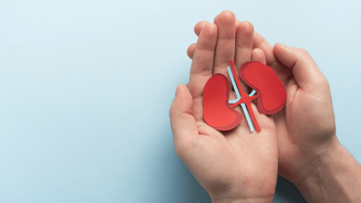 бъбреци бъбречно здраве