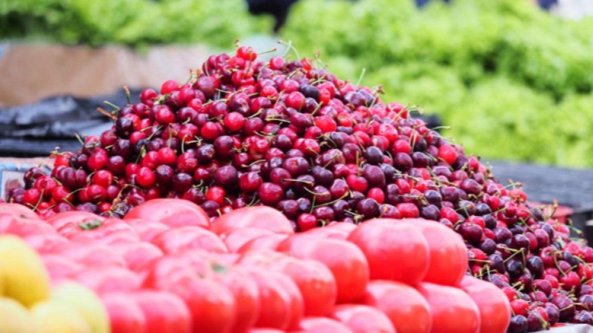 Bürokratie und Klimawandel bremsen die bulgarische Bio-Produktion