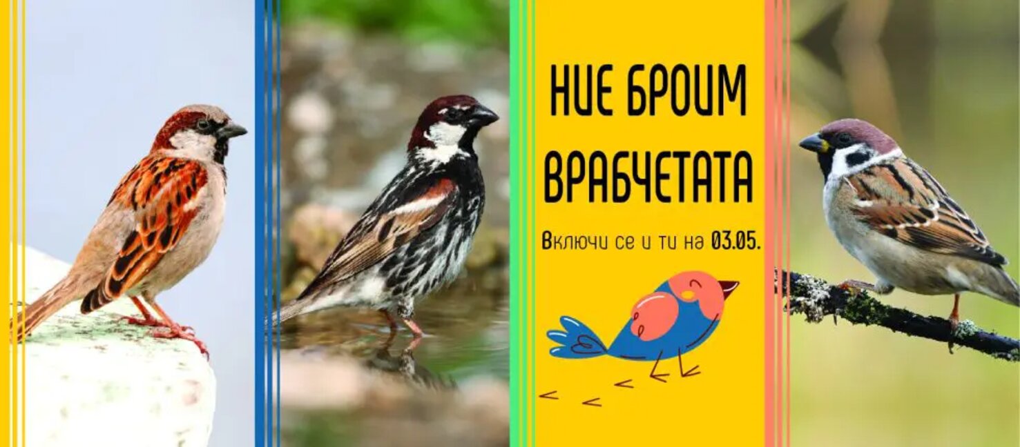10 минути в Смартбърдс