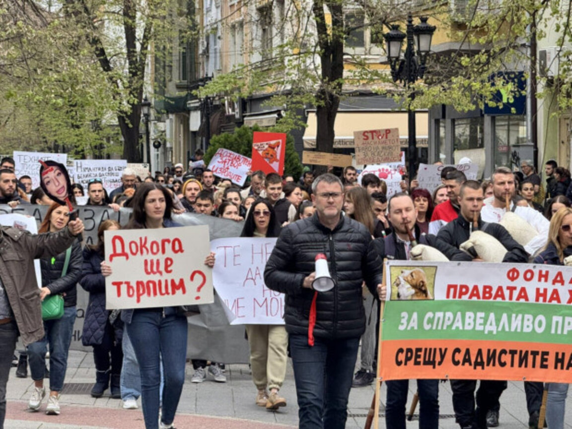Протести в Пловдив и Пазарджик срещу насилието над животни