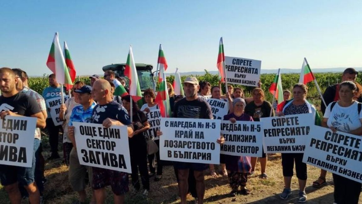 Bağcılar ve şarap üreticilerinden “NAP” protestosu