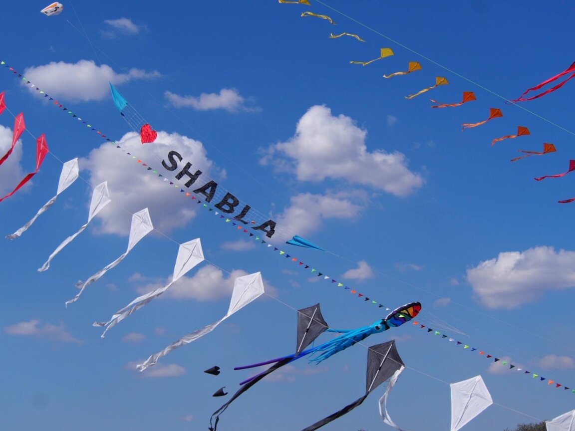 Shabla reúne de nuevo a los amigos de las aves, el mar y el viento