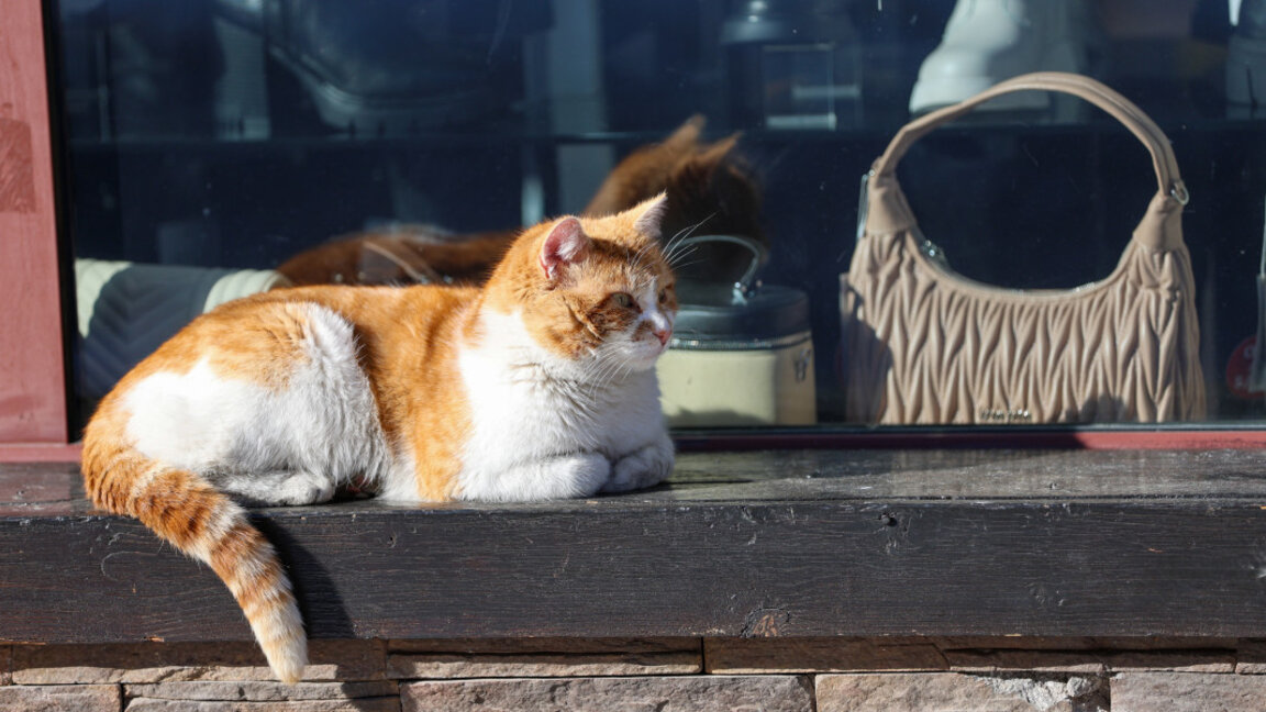 Времето във вторник