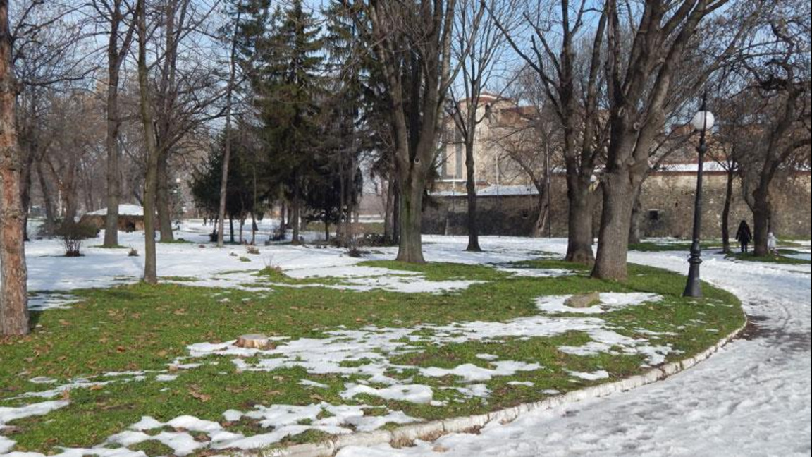 видин баба вида зима