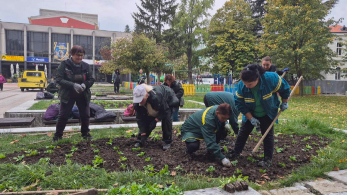 30 binden fazla çiçek Tırgovişte sokaklarını süsleyecek 
