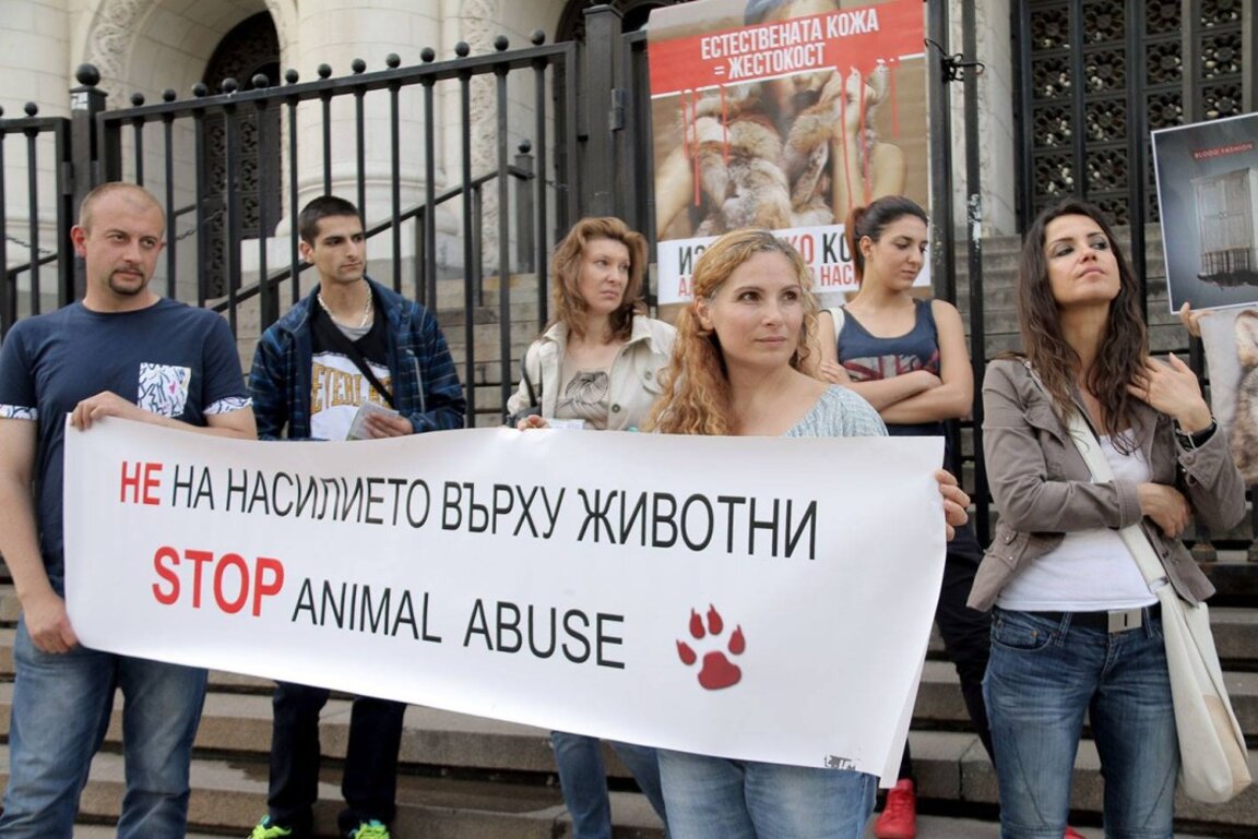 По-високи наказания за престъпления срещу животни