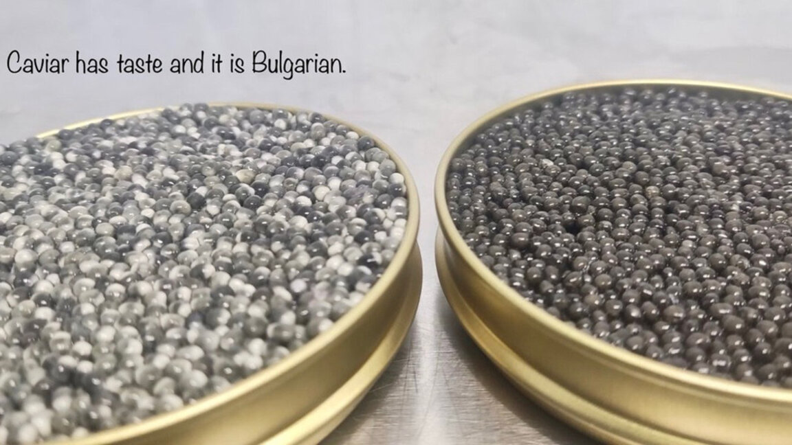 En 30 ans, la Bulgarie est devenue un grand producteur de caviar en Europe...