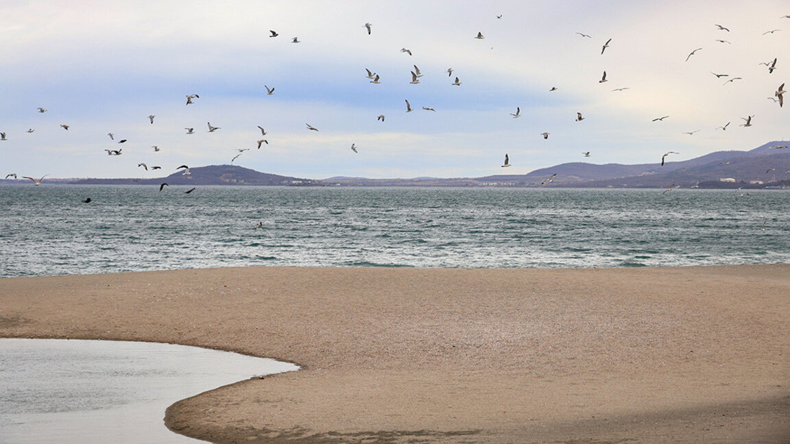 Parashikimi i motit për 20 qershorin 2025