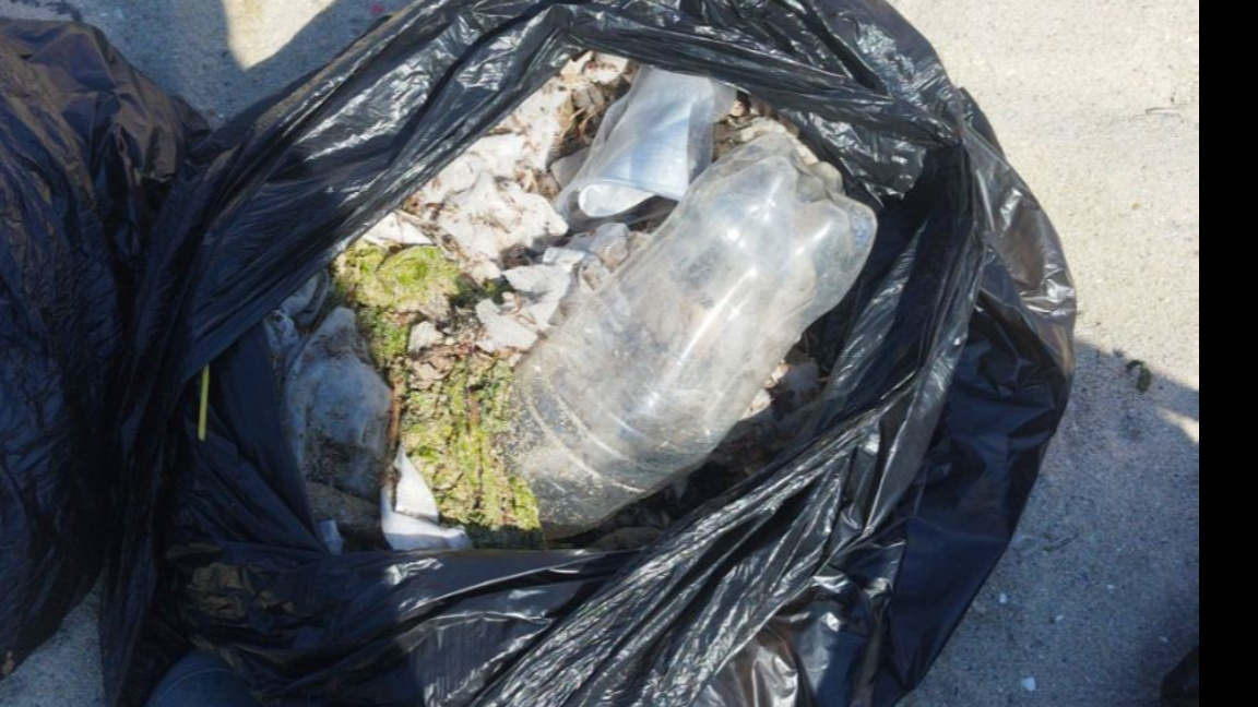 РИОСВ-Варна: Мокрите кърпички запушват канализацията и стигат до морето