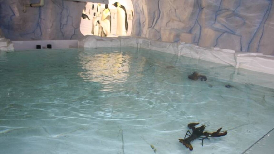 Naturkundemuseum in Plowdiw mit interessanten Angeboten