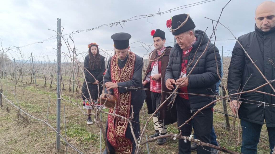 В Болярово почетоха Трифон Зарезан