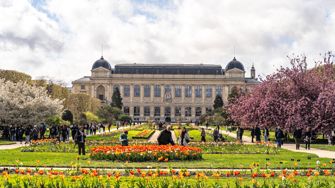 Националният музей по естествена история на Франция