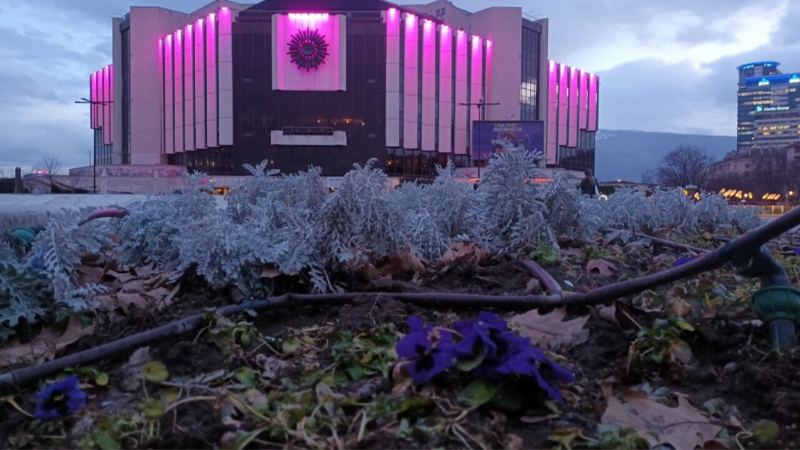 55.000 búlgaros viven con epilepsia y luchan contra el estigma