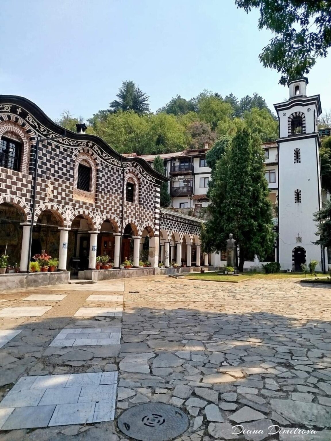 Снимка: Диана Димитрова