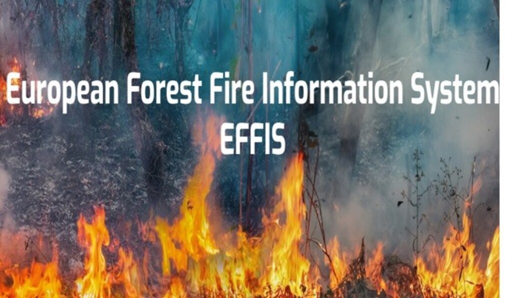 EFFIS: Горски пожари в ЕС изпепелиха рекордни над 1 милион хектара земя тази година