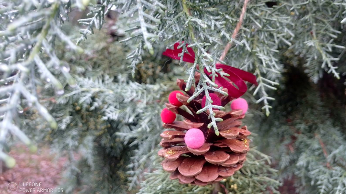 Зоопаркът в Стара Загора с първи коледен базар